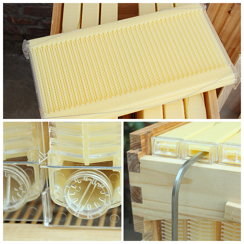 Auto Beehives Cedarwood Beekeeping Bee hive Brood + 7 Bee Frames + 2 Super boxes