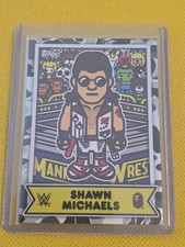 2025 Topps WWE X Bape Wrestling Checklist Guide in-content 24