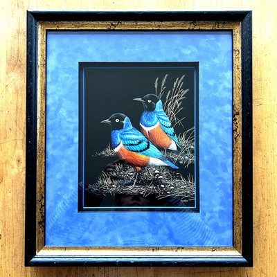 Original Cynthie Fisher Superb Starlings Birds Painting Custom Framing 15'' x 17''