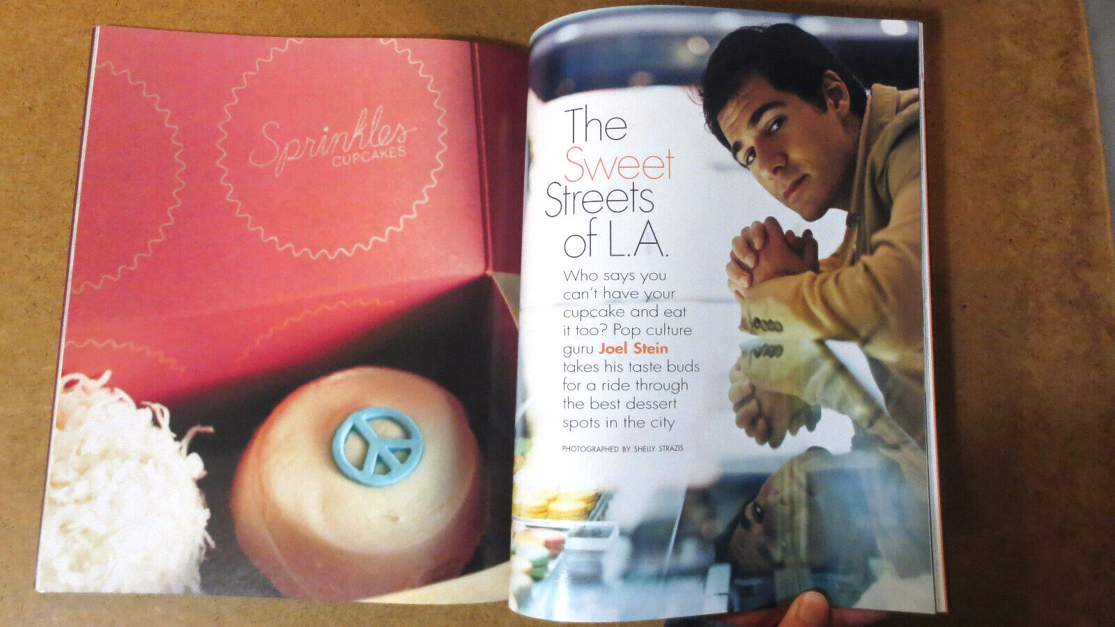 ENTREE Fashion Magazine Catalog Tomas Maier Bottega Veneta JOEL STEIN Handbags