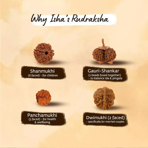 Isha authentischer Panchamukhi fünfseitiger Rudraksha Mala geweihter Dhyanalinga 8 mm - Bild 5 von 6