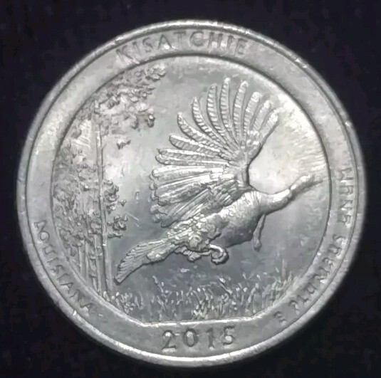 ちゃまる 2015 Kisatchie Quarter Strike Thru Error | eBay