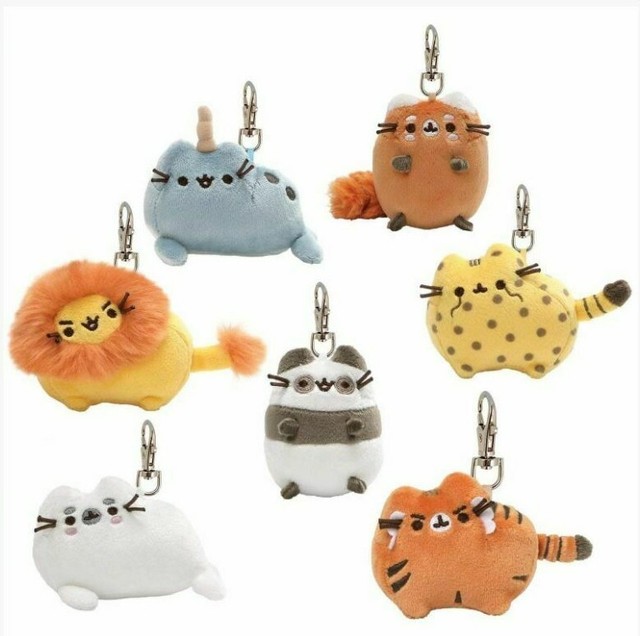 pusheen surprise box