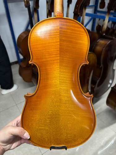 Stradivirus 4/4 Handmade Violin with Free Case