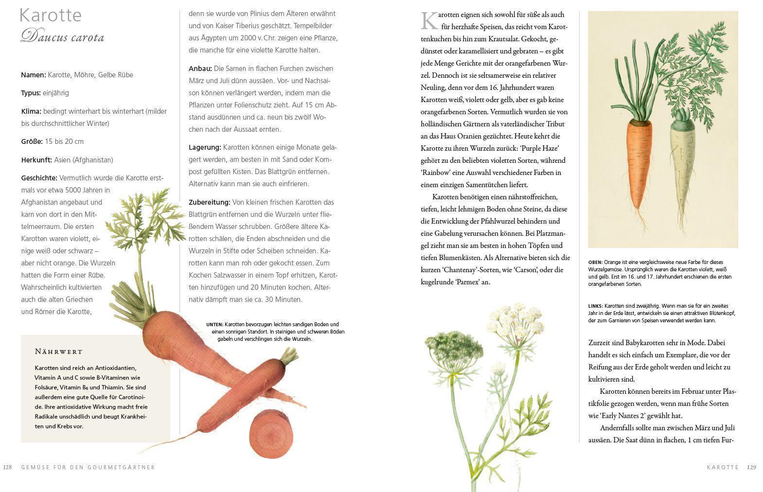 Thumbnail - Gemüse Für Den Gourmetgärtner | Simon Akeroyd | Buch | 224 S. |