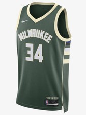 Nike NBA Milwaukee Bucks Giannis Antetokounmpo Men Green Jersey DN2012-323