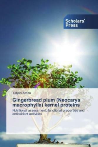 Thumbnail - Gingerbread Plum (neocarya Macrophylla) Kernel Proteins Nutritional