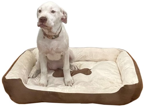 Luxury Pet Bed for Dogs or Cats - Super Soft, Machine Washable, Non-Slip Bottom - Picture 15 of 29
