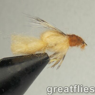 1 dozen (12) - Sparkle Pupa - TAN