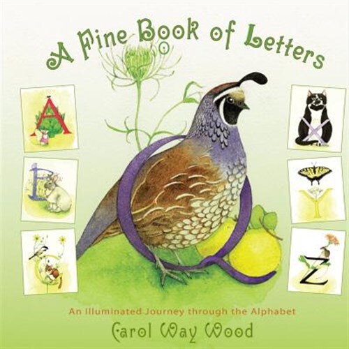 Fin of Letters : An Illuminated Journey Through the Alphabet, Paperback by Wo...