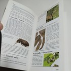 Bild 7 von 12