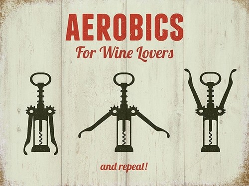 Aerobic Für Wein Liebhaber Lustig Metall Schild 400mm x 300mm (Og)