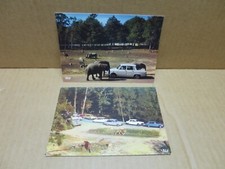 THOIRY (78) 2 CPSM zoo parc animalier éléphants lions automobiles