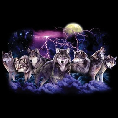 Wolf Lightning New Wolf  Tshirt    Sizes/Colors
