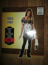 Girls NATIVE AMERICAN INDIAN GIRL HALLOWEEN COSTUME sz L Lg 12 - 14 Incharacter