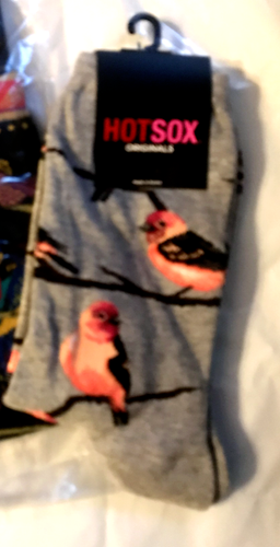 Hot Sox Birds Socks Bird is the Word Novelty Crew Sock Robin HOTSOX RARE NEW - 第 1/2 張圖片