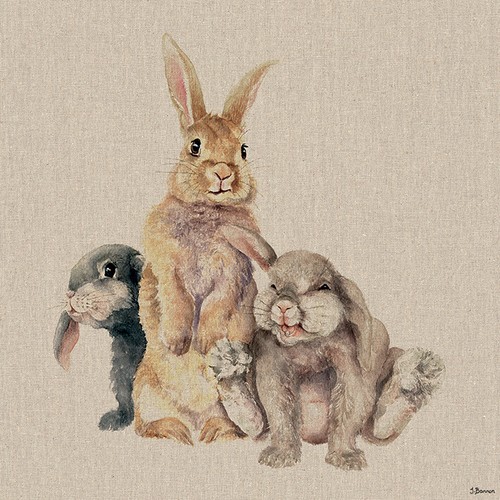 Jane Bannon Canvas Art Prints Range Of Animal Pictures 108 Different Options - Picture 22 of 120