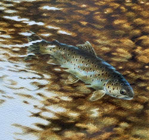 Trucha Marrón Por Michael J. Loates - Pintura Acuarela Pesca Siglo XX - Imagen 5 de 8