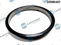 Dr.Motor Automotive Dichtung, Unterdruckpumpe U.A. FüR CitroËN, Fiat, Ford