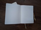 Papyrus Express Beautifully Floral Journal   Lined Pages with gold edges plus!  — photo 7