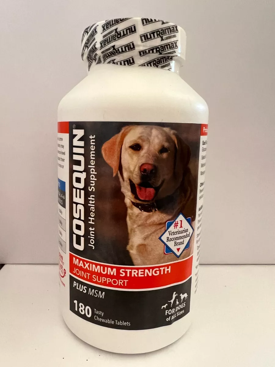 Cosequin ds plus msm top joint health supplement for dogs