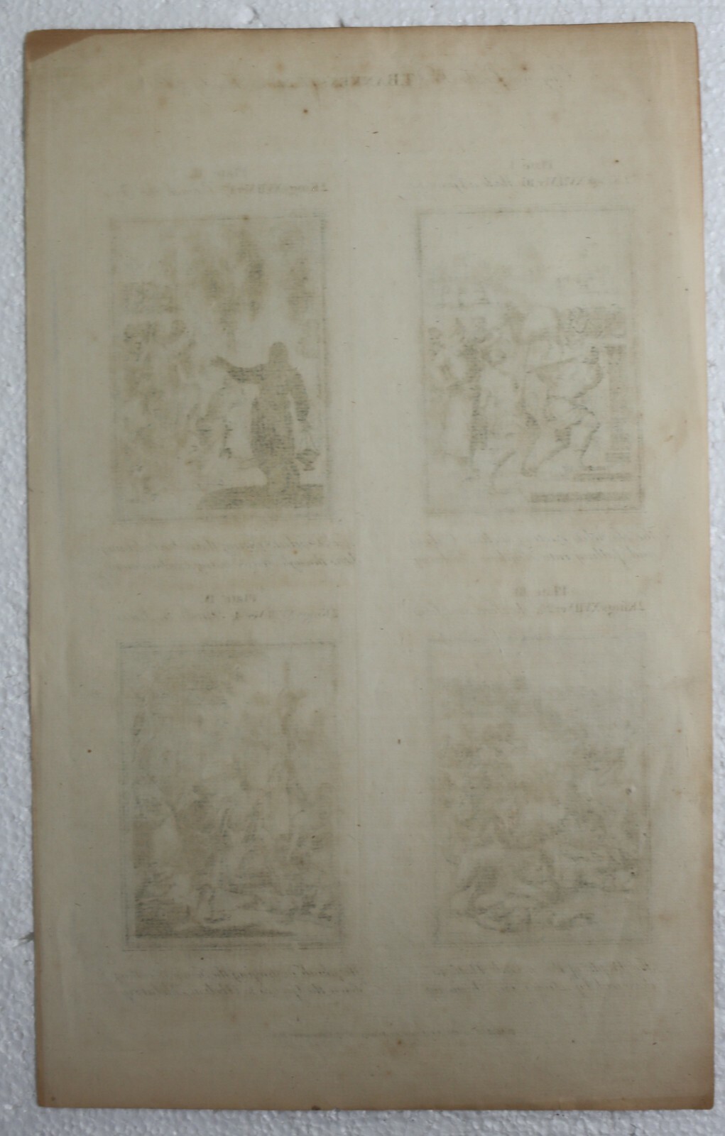 Bild 6 von 12