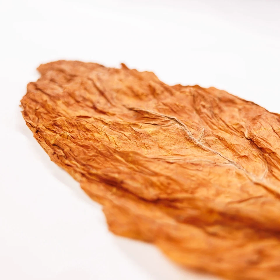 Rohe Burley-Tabakblätter der Klasse I - Premium - Bild 4 von 4