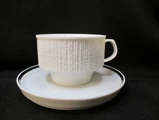 Thomas Rosenthal Arcta Platinum Cup & Saucer Made in Germany