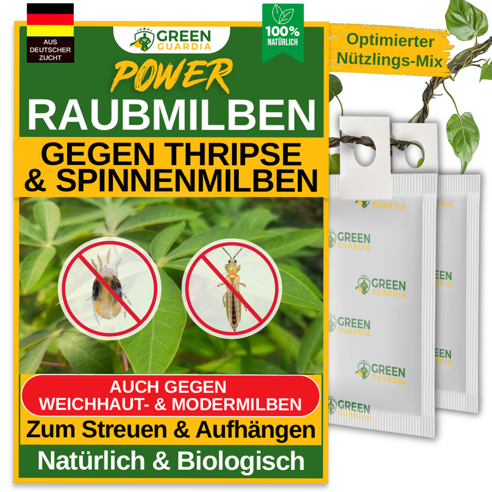 Bild 1 von 43