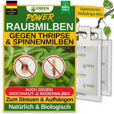 Raubmilben MIX gegen Thripse & Spinnmilben, 1 bis 50 Tüten, Green Guardia®, BIO