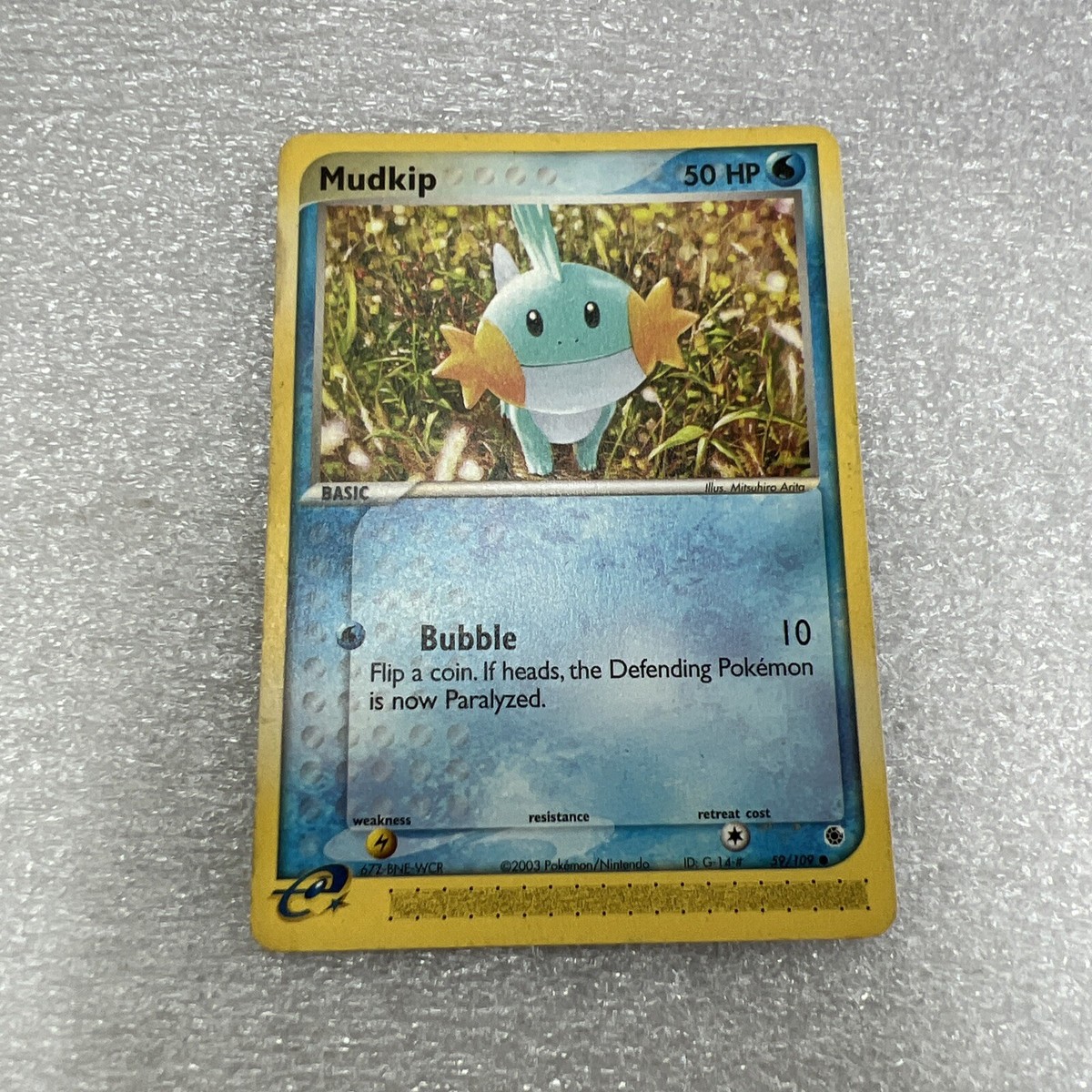 mudkip pokemon card value Pokemon Promo Mudkip #59 (Oversized)
