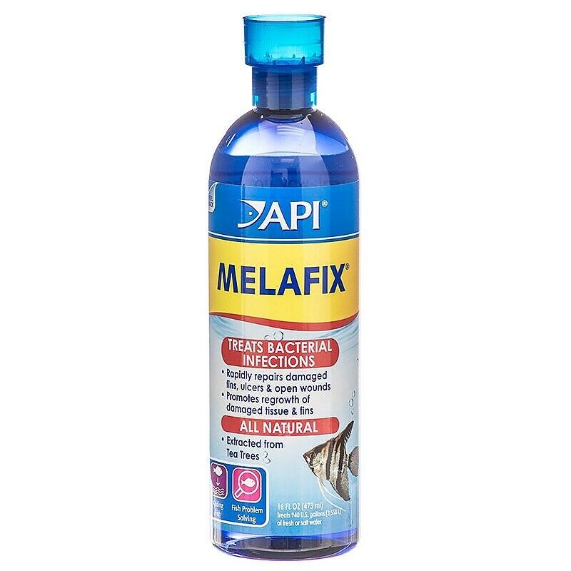 美しい API MelaFix Antibacterial Remedy 受賞店 Fish