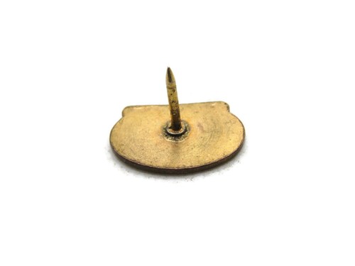 Vintage ASI Advance Schools Inc Graduate Pin Horseshoe Shape Enamel Gold Tone - Picture 3 of 4