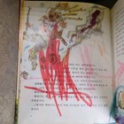 Bild 13 von 14