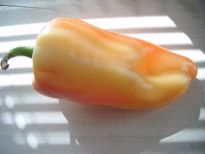 25 Organic GIANT SZEGEDI PEPPER Capsicum Annuum Hungarian Sweet Paprika / Tapere