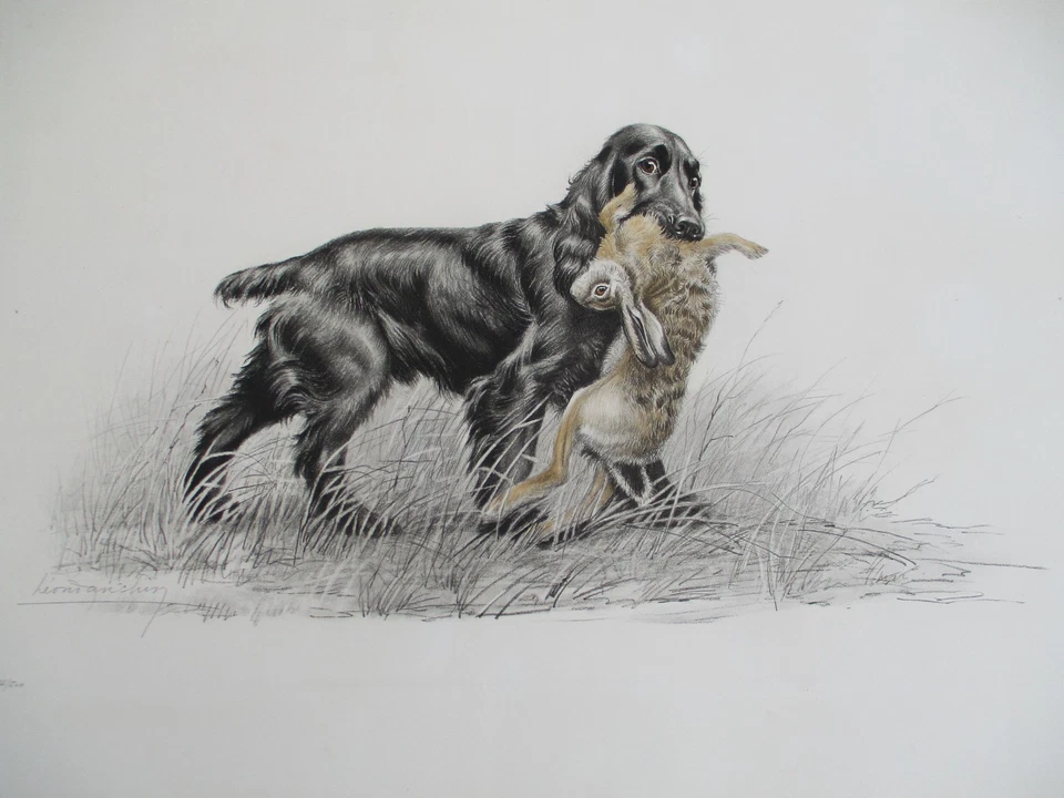 Grande Lithographie Cocker et Lièvre.Léon DANCHIN 1932. Signée n°266/500. Chasse - Photo 2/4