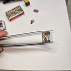 Picture 5 of 12