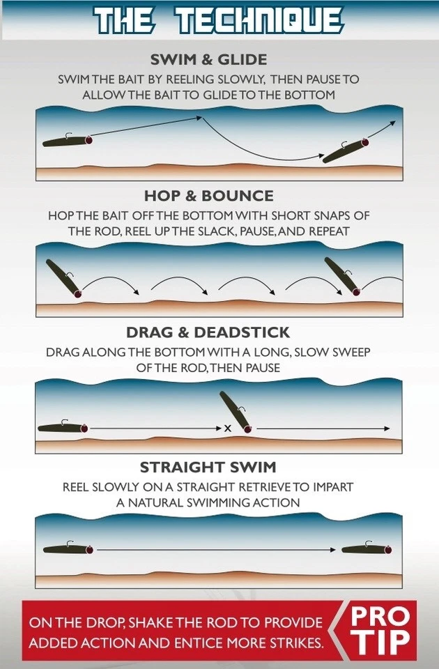 Z-Man BIG TRD NED RIG Finesse 4" ElaZtech Worms ELIGE TU COLOR NUEVO (6 POR PAQUETE) Foto 2 de 4