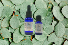 Organic Eucalyptus Essential Oil by Karafa Es...