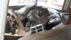 Foto 12 di 12