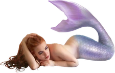 Sexy mermaid sticker weatherproof  bumper vinyl decal
