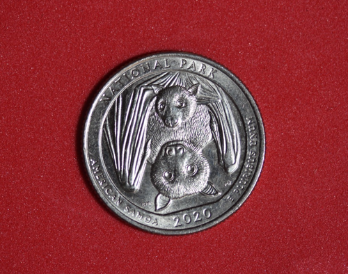 2020-W CLAD Washington Quarter Dollar #P28633 - 第 2/2 張圖片