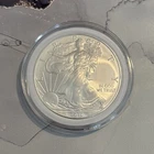 2010 American Silver Eagle 1 oz .999 Fine Silver Colorized Round in Capsule