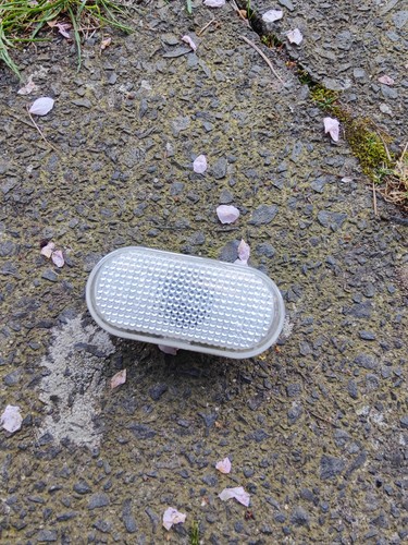 Original Seitenblinker Für Renault Clio Kangoo Laguna Megane Scenic 8200257684