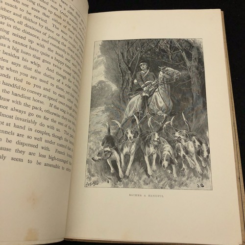 The Red Deer Fur and Feather Series~ H.A. Macpherson ~ 1896 1st Edition - Picture 16 of 16