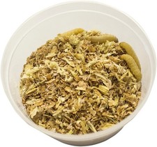 Nutrient-Rich Waxworms 15g Tub - Perfect For Reptile Conditioning