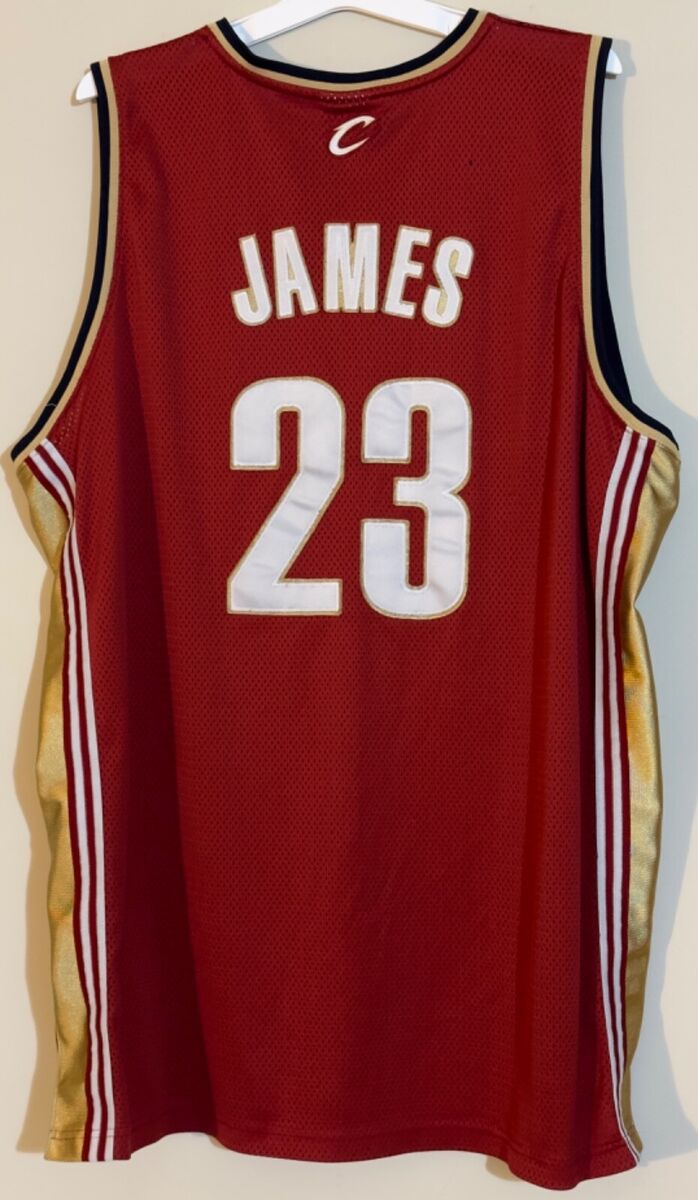 Reebok SEWN NBA Jersey Size 52 (2XL - 3XL) LeBron James #23