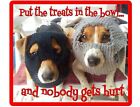 Funny Jack Russell Terrier Dog Bandits Refrigerator / Tool Box Magnet
