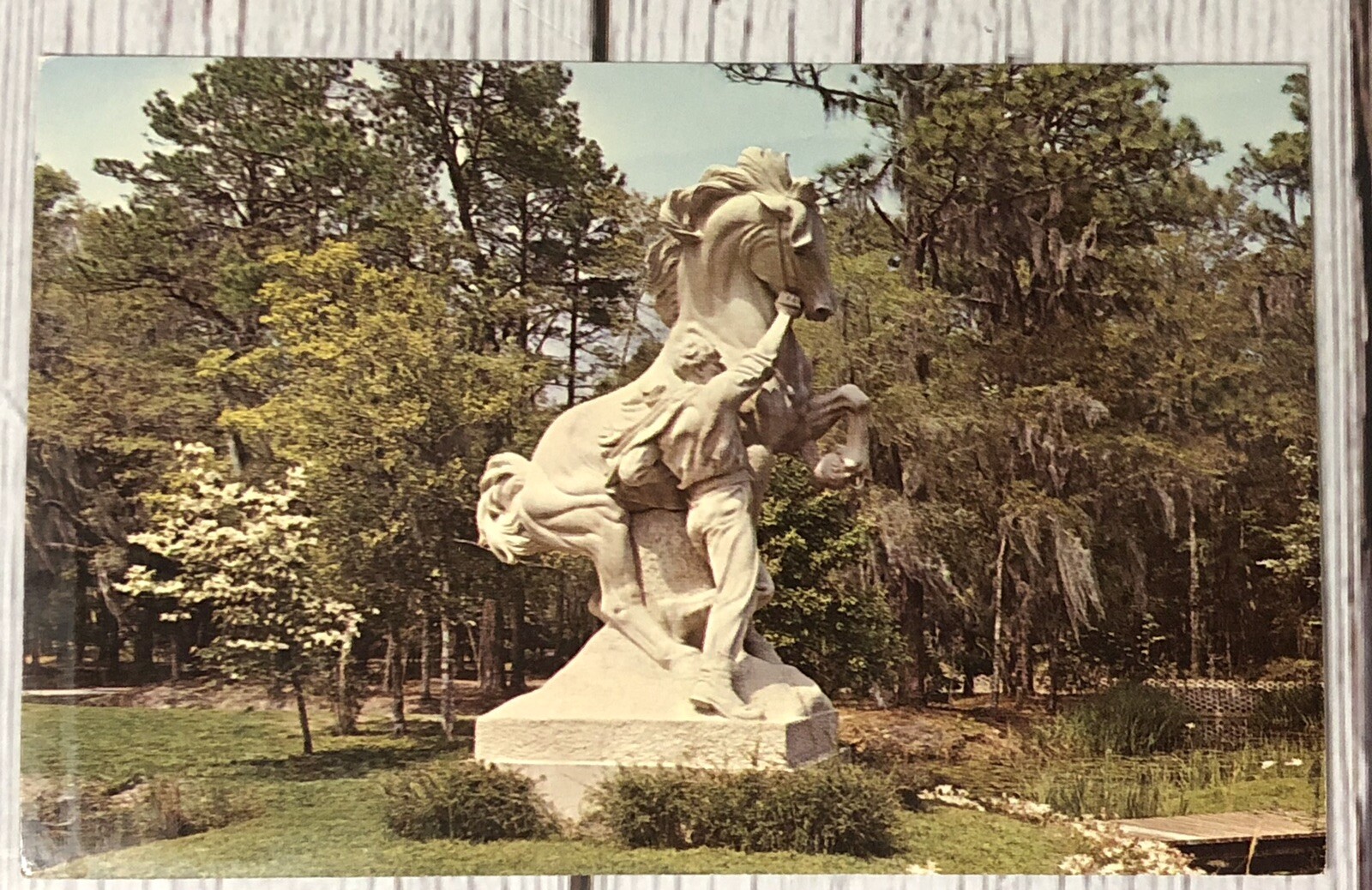 Picture 1 of 4