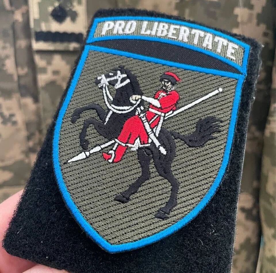 Ukrainian Army Unit Patch 110th Separate Mechanized Brigade Tactical Badge Hook - Image 4 of 4